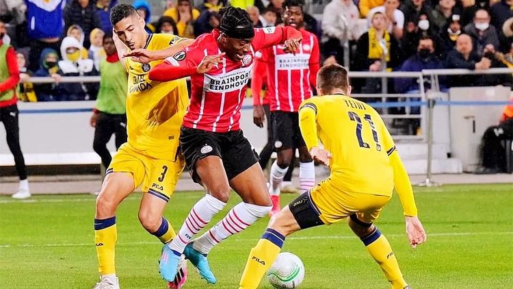 必须根据对 必须根据对