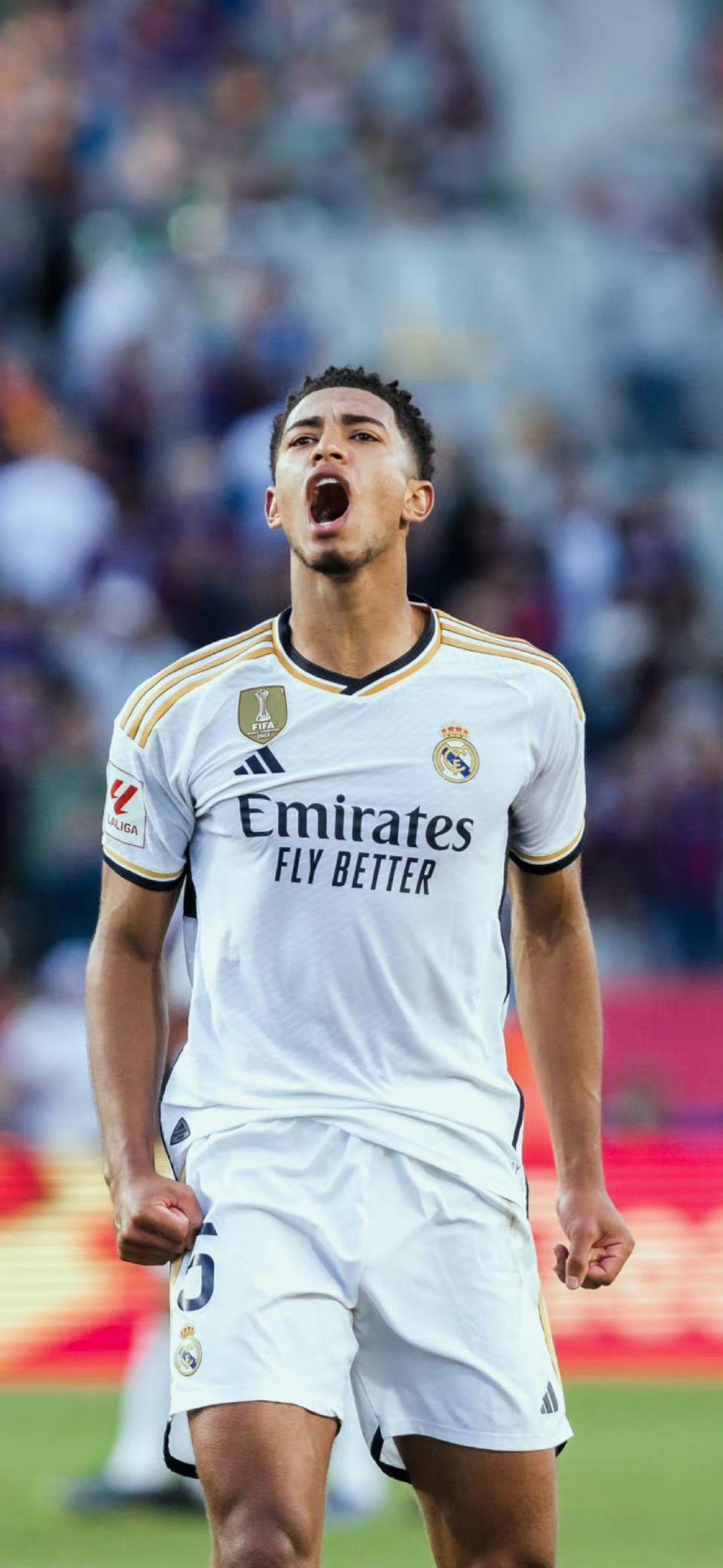 持续发酵 持续发酵