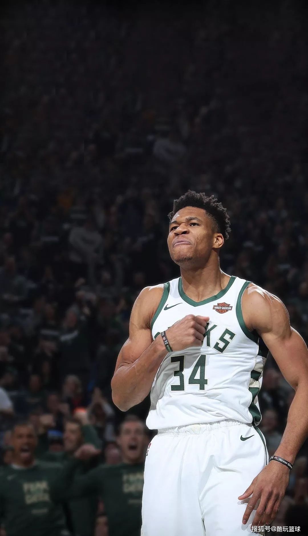 环境评估 环境评估